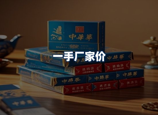专业团队办公环境